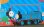 画像1: 鉄道模型 メルクリン Marklin 36120 Thomas きかんしゃトーマス 蒸気機関車 HOゲージ (1)